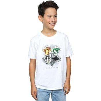 T-shirt enfant Harry Potter Hogwarts Painted Crest