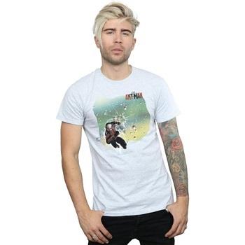 T-shirt Marvel Ant-Man Shatter