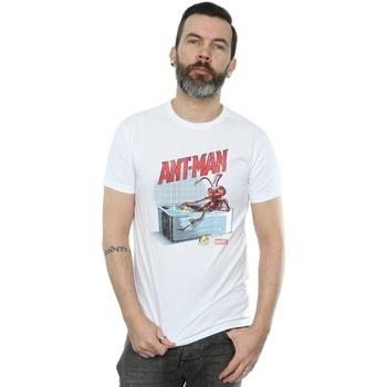 T-shirt Marvel Bathing Ant