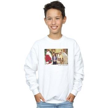 Sweat-shirt enfant Friends The Holiday Armadillo