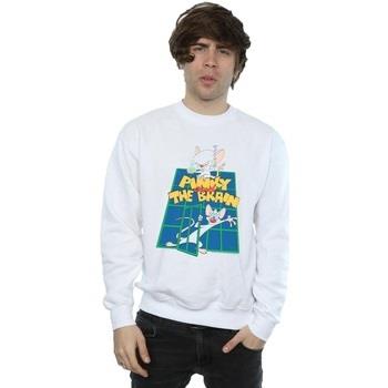 Sweat-shirt Animaniacs BI7984