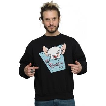 Sweat-shirt Animaniacs BI8191