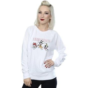 Sweat-shirt Animaniacs BI5900