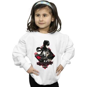 Sweat-shirt enfant Dc Comics BI10192