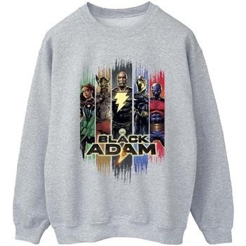 Sweat-shirt Dc Comics JSA