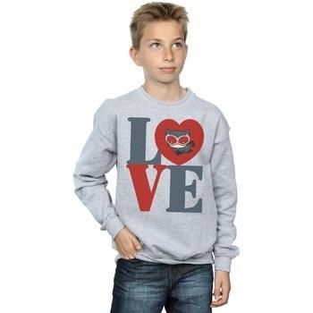 Sweat-shirt enfant Dc Comics BI11690