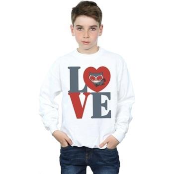 Sweat-shirt enfant Dc Comics BI11690