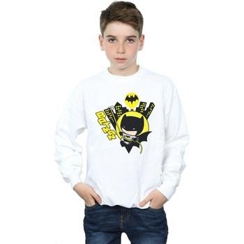 Sweat-shirt enfant Dc Comics BI11691