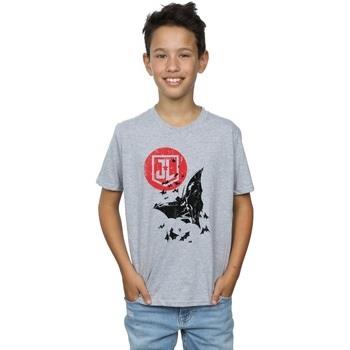 T-shirt enfant Dc Comics BI21776