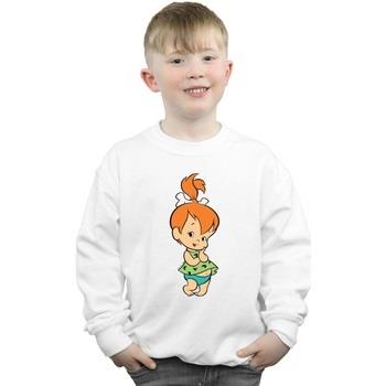 Sweat-shirt enfant The Flintstones BI16963