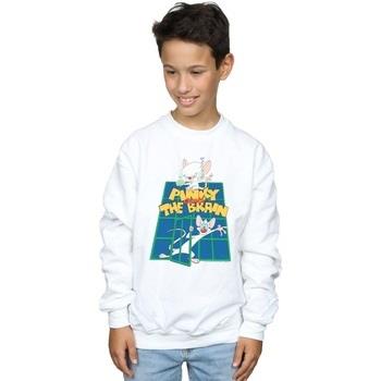 Sweat-shirt enfant Animaniacs BI5524