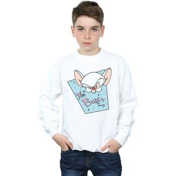 Sweat-shirt enfant Animaniacs BI5650