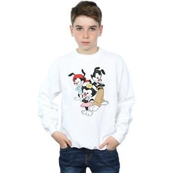 Sweat-shirt enfant Animaniacs Dot Wakko And Yakko