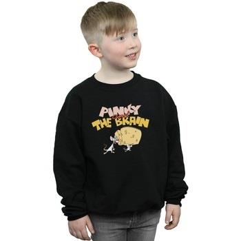 Sweat-shirt enfant Animaniacs Pinky And The Brain Cheese Head