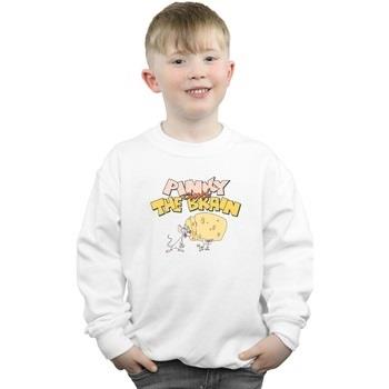 Sweat-shirt enfant Animaniacs Pinky And The Brain Cheese Head