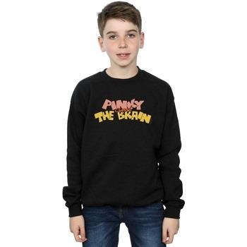 Sweat-shirt enfant Animaniacs BI5722