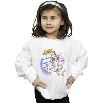 Sweat-shirt enfant Animaniacs Pinky And The Brain Take Over The World