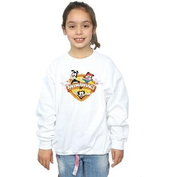 Sweat-shirt enfant Animaniacs Group Shield