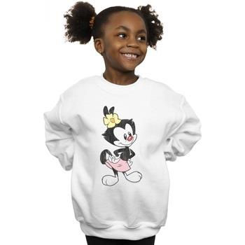 Sweat-shirt enfant Animaniacs BI5863