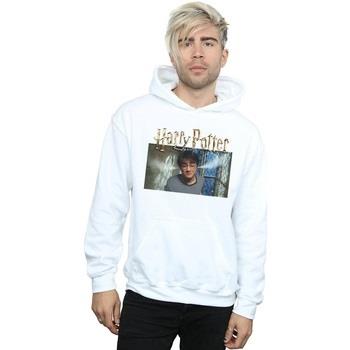 Sweat-shirt Harry Potter Steam Ears