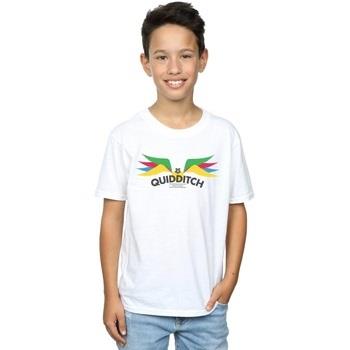 T-shirt enfant Harry Potter Snitch Wings Pastels