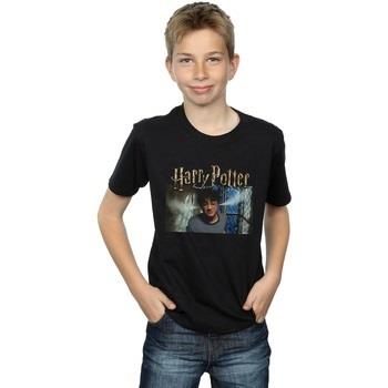 T-shirt enfant Harry Potter Steam Ears