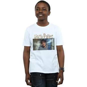 T-shirt enfant Harry Potter Steam Ears