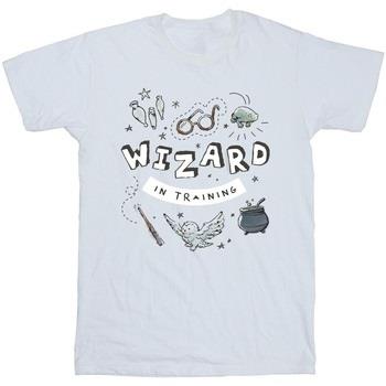 T-shirt enfant Harry Potter BI21195