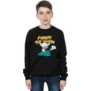 Sweat-shirt enfant Animaniacs World Domination