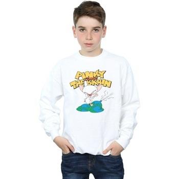 Sweat-shirt enfant Animaniacs World Domination