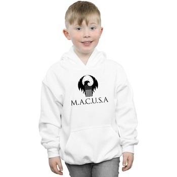 Sweat-shirt enfant Fantastic Beasts MACUSA Logo