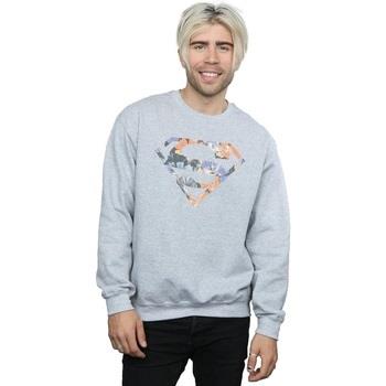 Sweat-shirt Dc Comics Superman Floral Logo 2