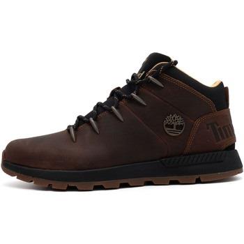 Bottes Timberland Mid Lace Up Sneaker
