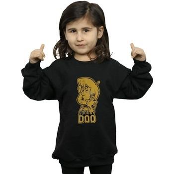 Sweat-shirt enfant Scooby Doo BI33568