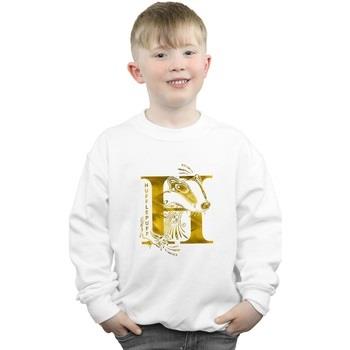 Sweat-shirt enfant Harry Potter Hufflepuff Badger
