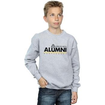 Sweat-shirt enfant Harry Potter Hogwarts Alumni Hufflepuff