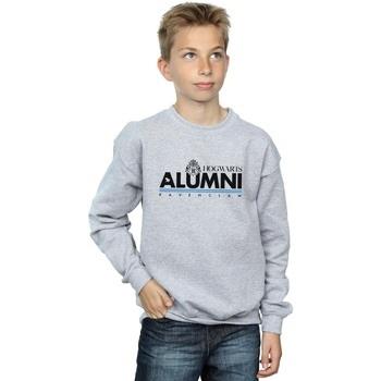 Sweat-shirt enfant Harry Potter Hogwarts Alumni Ravenclaw