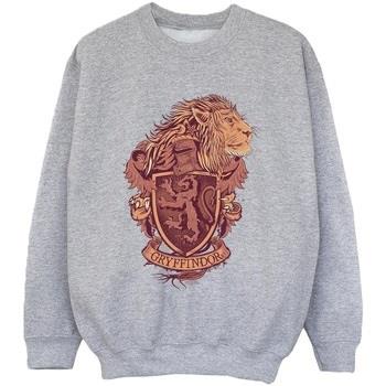 Sweat-shirt enfant Harry Potter Gryffindor Sketch Crest