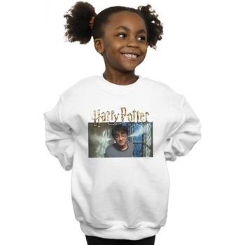 Sweat-shirt enfant Harry Potter Steam Ears