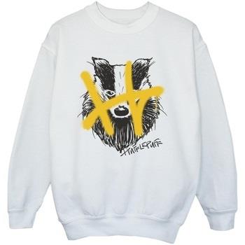 Sweat-shirt enfant Harry Potter Hufflepuff Pop Spray