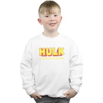 Sweat-shirt enfant Marvel AKA Robert Bruce Banner