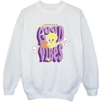 Sweat-shirt enfant Dessins Animés BI23652