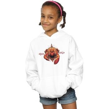 Sweat-shirt enfant Dc Comics BI3130