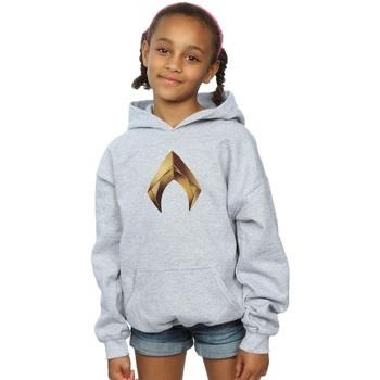 Sweat-shirt enfant Dc Comics BI3132