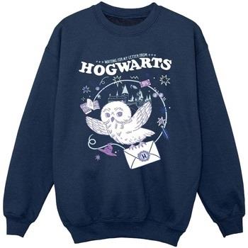 Sweat-shirt enfant Harry Potter BI20833