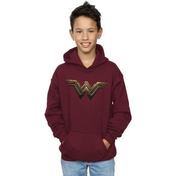 Sweat-shirt enfant Dc Comics BI3842