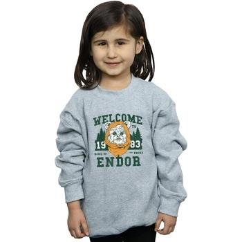 Sweat-shirt enfant Disney Endor Camp