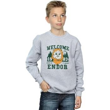 Sweat-shirt enfant Disney Endor Camp