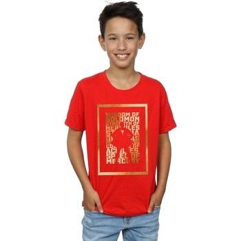 T-shirt enfant Dc Comics BI33626