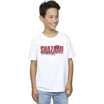 T-shirt enfant Dc Comics Shazam Fury Of The Gods Pride Distress